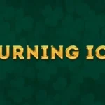 Burning Ice